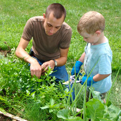 Farmer